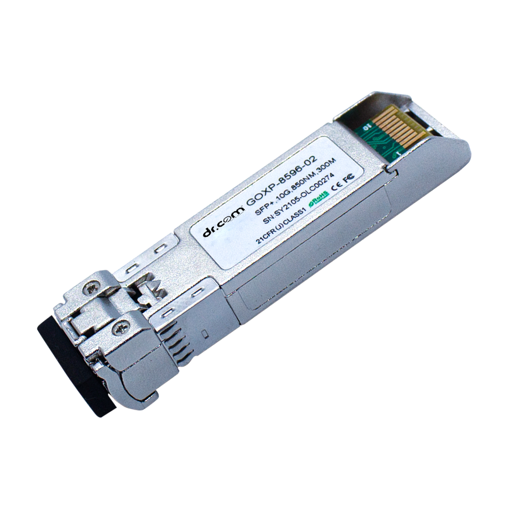10G Dual Fibre