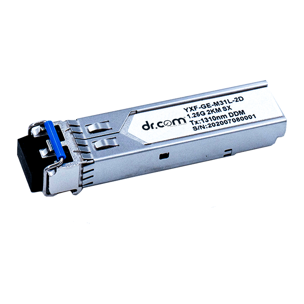 1G Dual Fibre